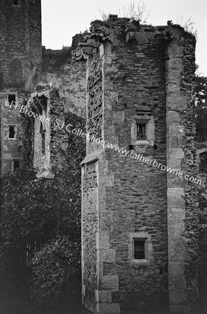 GROTESQUE HEADS ON TOWER OF GREAT HALL